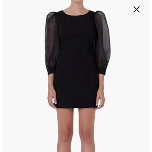 Organza Balloon Sleeve Minidress